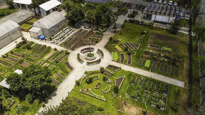 Fazenda Urbana de Curitiba celebra quatro anos como pioneira em sustentabilidade urbana.
Foto: José Fernando Ogura/SMCS