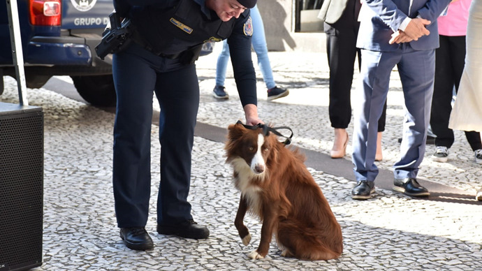 Projeto Cão Amigo ganha reforço com filhote Zaya.
Foto: Divulgação